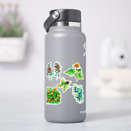 Beeren, Heidelbeere, Linguonbeere, Beerenbeere Aufkleber (HydroFlask)