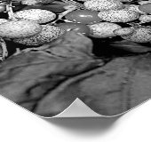 Beeren in Schwarz-Weiß-Natur Poster (Ecke)