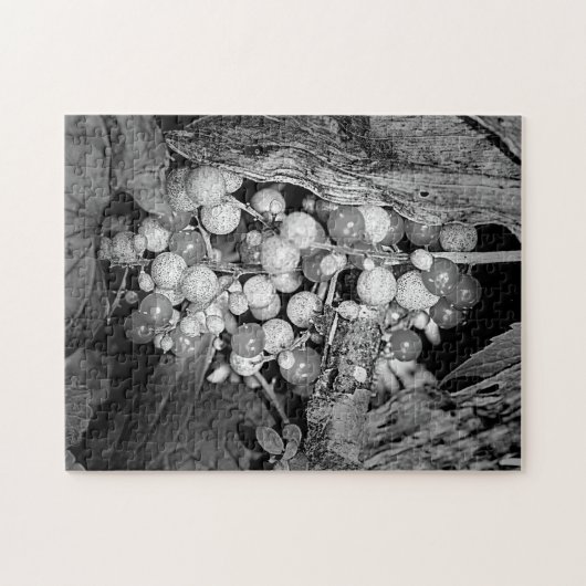 Beeren in Schwarz-Weiß-Natur Puzzle (Horizontal)