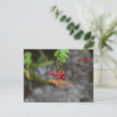 Beeren postkarte (Stehend Vorderseite)