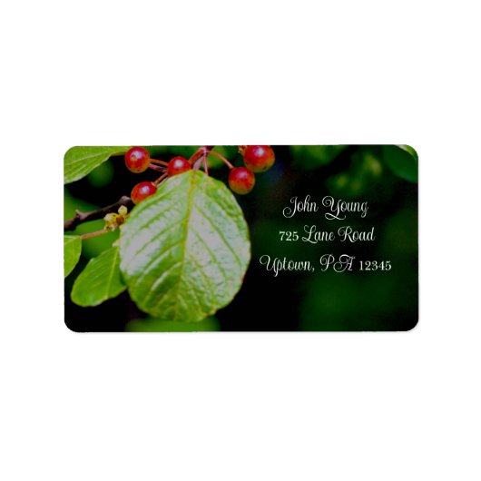 Beeren und Blätter Adressetiketten (Vorne)