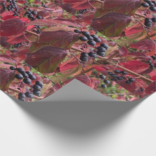 Beeren und Blätter Geschenkpapier (Ecke)