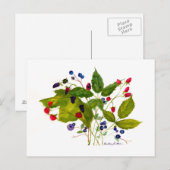 Beerenpostkarte Postkarte (Vorne/Hinten)
