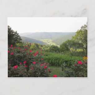 Beersheba Springs Postcard Postkarte