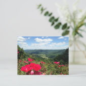 Beersheba Springs Postcard Postkarte (Stehend Vorderseite)