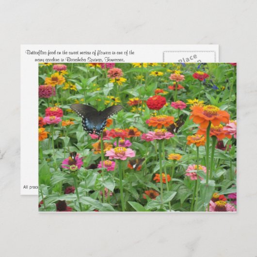 Beersheba Springs Postcard Postkarte (Vorne/Hinten)