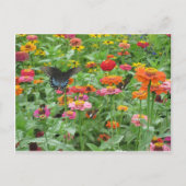 Beersheba Springs Postcard Postkarte (Vorderseite)