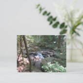 Beersheba Springs Postcard Postkarte (Stehend Vorderseite)