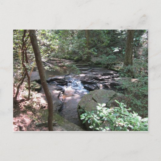 Beersheba Springs Postcard Postkarte (Vorderseite)