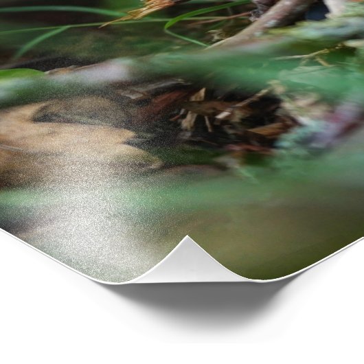 Beertje dat bij kampvuur zit. fotodruck (Ecke)