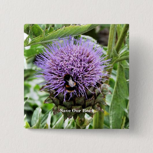 BEES BUTTON (Vorderseite)