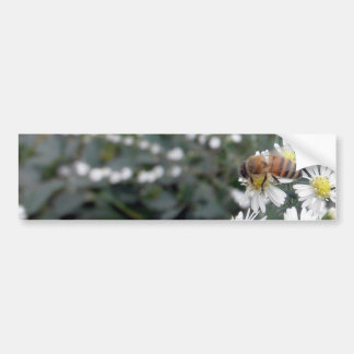 Bees Honey Bee Wildflowers Flowers Daisies Photo Autoaufkleber