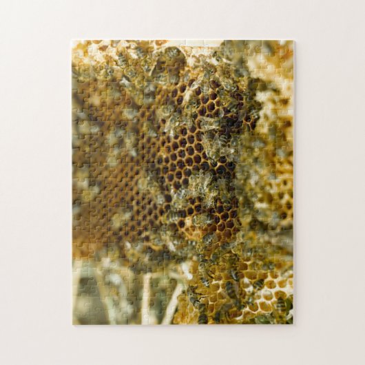 Bees in Hive, Western Cape, South Africa Puzzle (Vertikal)