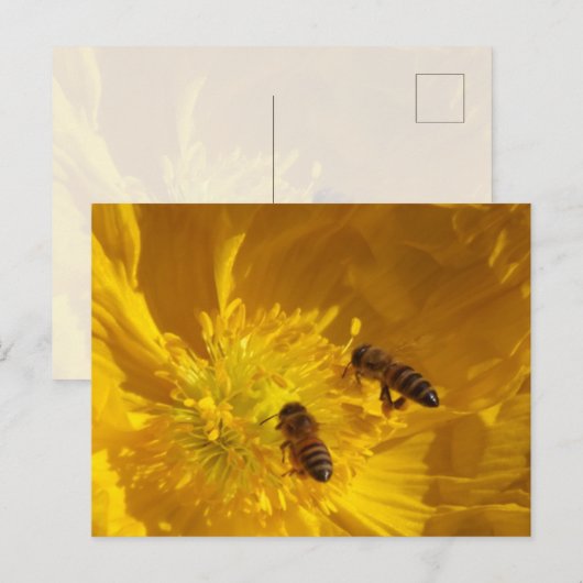 Bees Postcard Postkarte (Vorne/Hinten)
