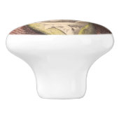 BEETHOVEN 1-1/2-Zoll-Keramik-ziehen-Knopf Keramikknauf (Seitenansicht)