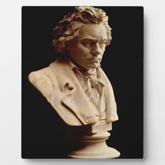 Beethoven-Büste Statue Fotoplatte (Vorderseite)