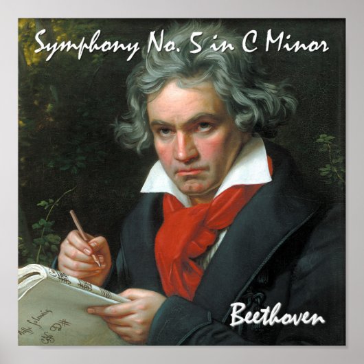 Beethoven Canvas Print Poster (Vorne)