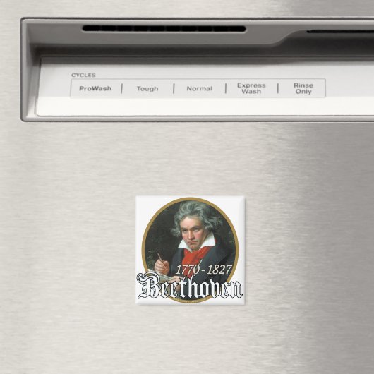 Beethoven Magnet (In Situ (Geschirrspüler))
