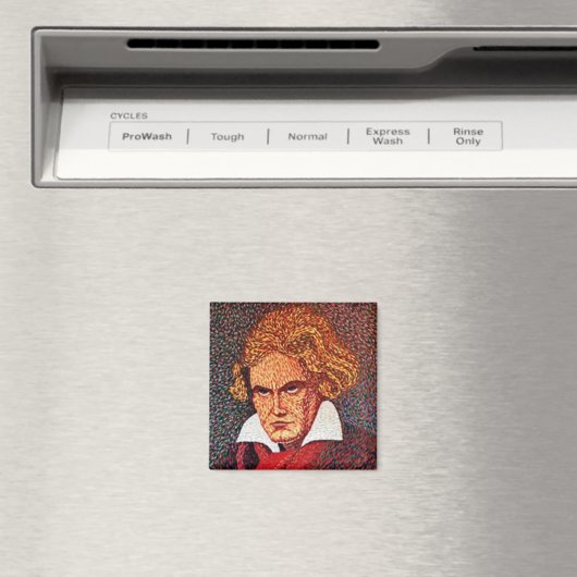 Beethoven Magnet (In Situ (Geschirrspüler))