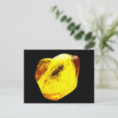 Beetle amber inclusion postkarte (Stehend Vorderseite)