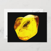 Beetle amber inclusion postkarte (Vorne/Hinten)