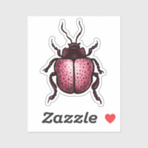Beetle Art Entomologie Niedlich Pink Insekt