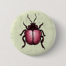 Beetle Art Entomologie Niedlich Pink Insekt