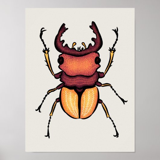 Beetle Art Entomology Insekt Poster (Vorne)