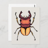 Beetle Art Entomology Insekt Postkarte (Vorne/Hinten)