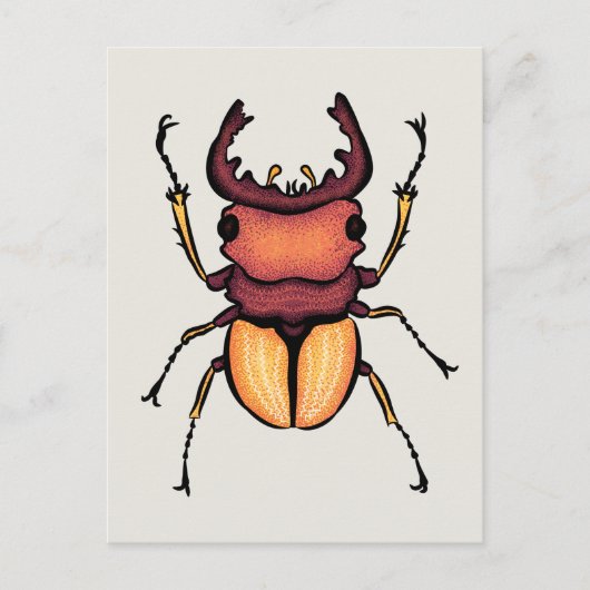 Beetle Art Entomology Insekt Postkarte (Vorderseite)