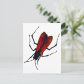 BEETLE BUG POSTKARTE (Stehend Vorderseite)