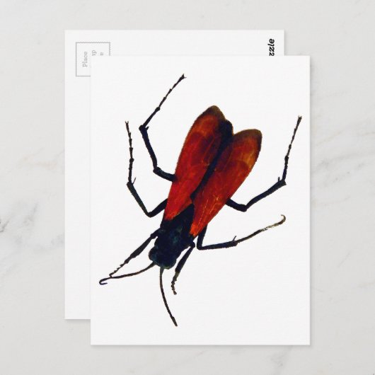 BEETLE BUG POSTKARTE (Vorne/Hinten)