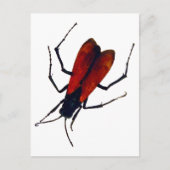 BEETLE BUG POSTKARTE (Vorderseite)