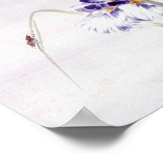 Beetle Climbing am Iris Leaf, Watanabe Seitei Poster (Ecke)