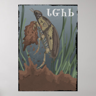 Beetle Finds Mud Poster