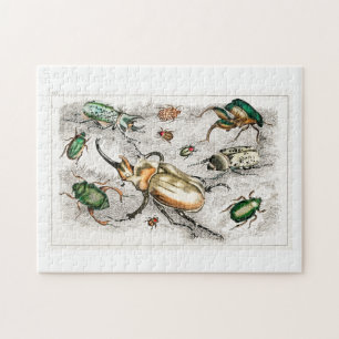 Beetles Bugs Insects Puzzle