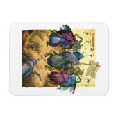 Beetles Celebrating Mittelsommer Magnet (Horizontal)