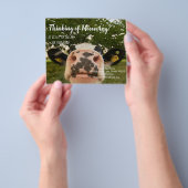 Befassung der landwirtschaftlichen Kuh reales Anwe Flyer (Gruppe)