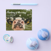 Befassung der landwirtschaftlichen Kuh reales Anwe Flyer (Einzeln)