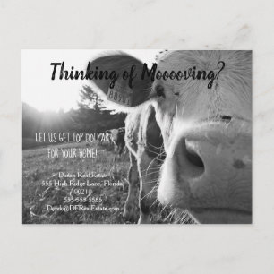 Befassung der landwirtschaftlichen Kuh reales Anwe Postkarte