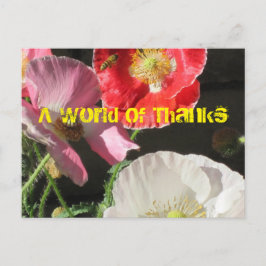 Befinden Sie sich auf der Post Card Postkarte