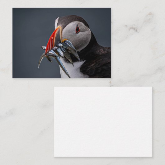 Befischung Mitteilungskarte (Vorne/Hinten)