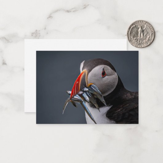 Befischung Mitteilungskarte (Vorderseite/Rückseite Beispiel)