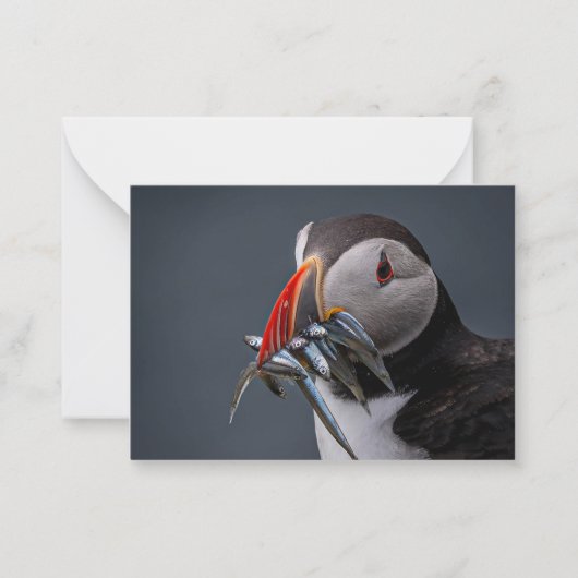 Befischung Mitteilungskarte (Vorderseite)