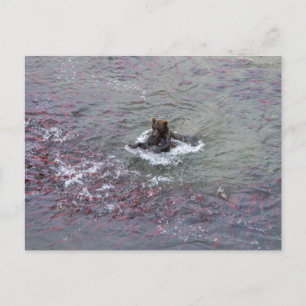 Befischung von Lachs in Alaska Postkarte