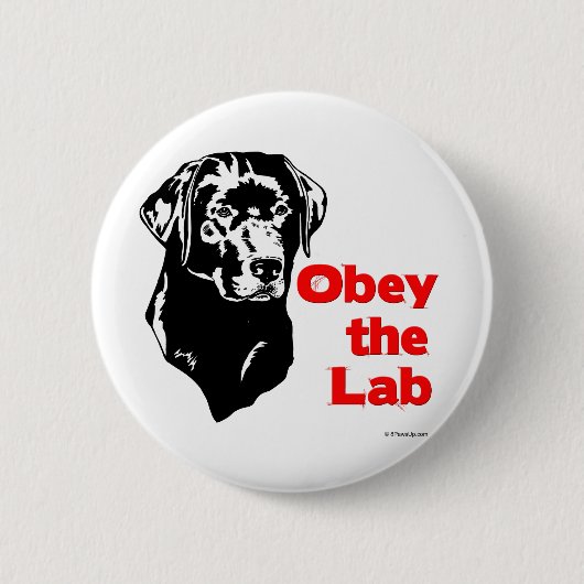 Befolgen Sie den Labrador Button (Vorderseite)