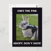 Befolgen Sie die Paw Postkarte (Vorne/Hinten)