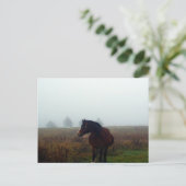 Befolgen Sie die Postkarte (Stehend Vorderseite)