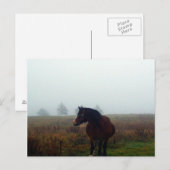 Befolgen Sie die Postkarte (Vorne/Hinten)