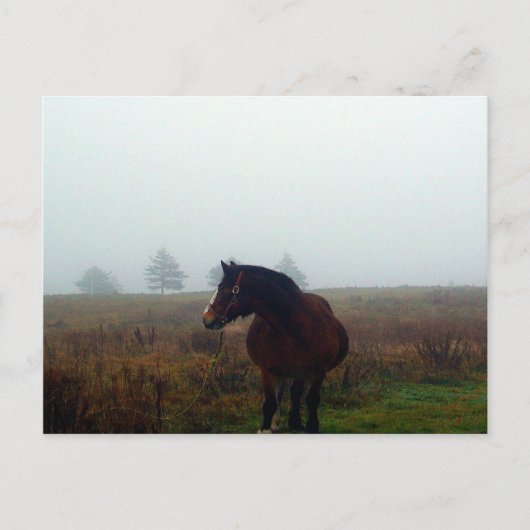 Befolgen Sie die Postkarte (Vorderseite)